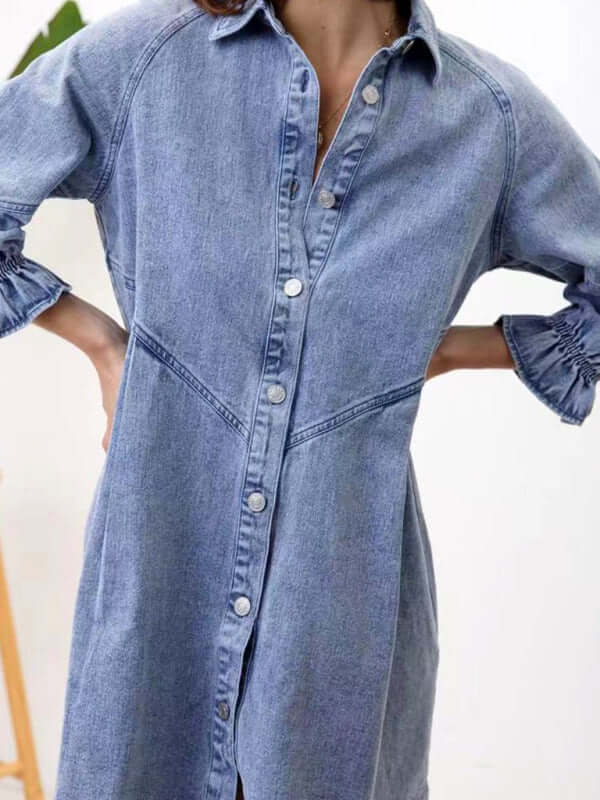 Eco-friendly Women's Casual Loose Denim Balloon Sleeve Long Sleeve Dress