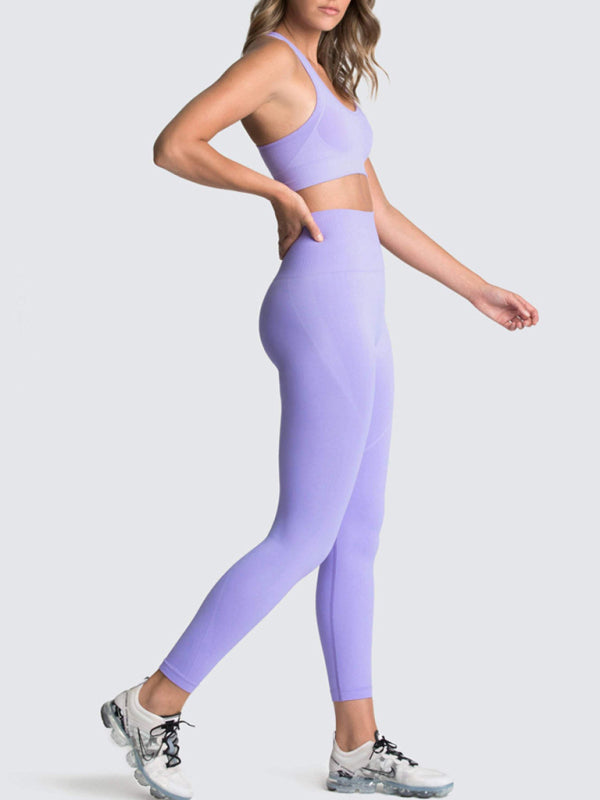 Eco-friendly Women's Beautiful Back High Waist Peach Hip Seamless Knitted Vest Trousers Two-piece Set